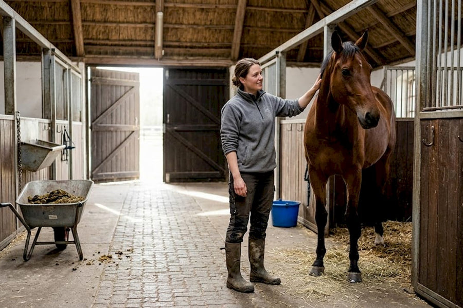 Pleje af hest: den komplette guide til sundhed og velvære