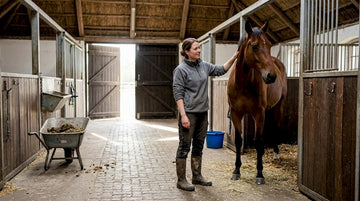 Pleje af hest: den komplette guide til sundhed og velvære