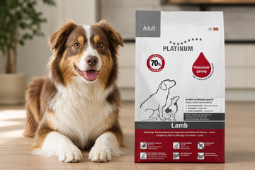 Platinum hundefoder: varianter, indhold og valg