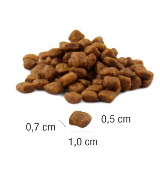 PLATINUM MeatCrisp Adult Iberico tørfoder til voksne katte – billede 3
