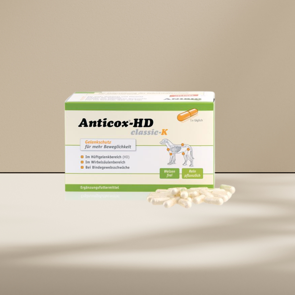 Anibio Anticox HD 140 kapsler med chondroitin og grønlæbet musling, produktbillede