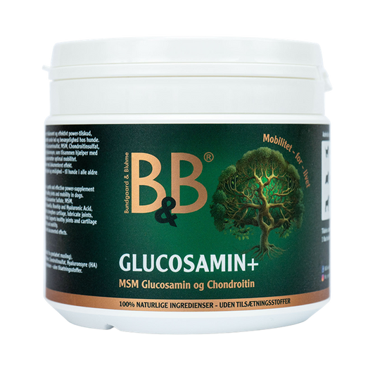 B&B Glucosamin+ pulver til hunde med glucosamin, MSM og chondroitin, 250 g, set forfra
