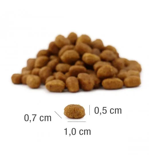PLATINUM MeatCrisp Adult Fish tørfoder til voksne katte – billede 3