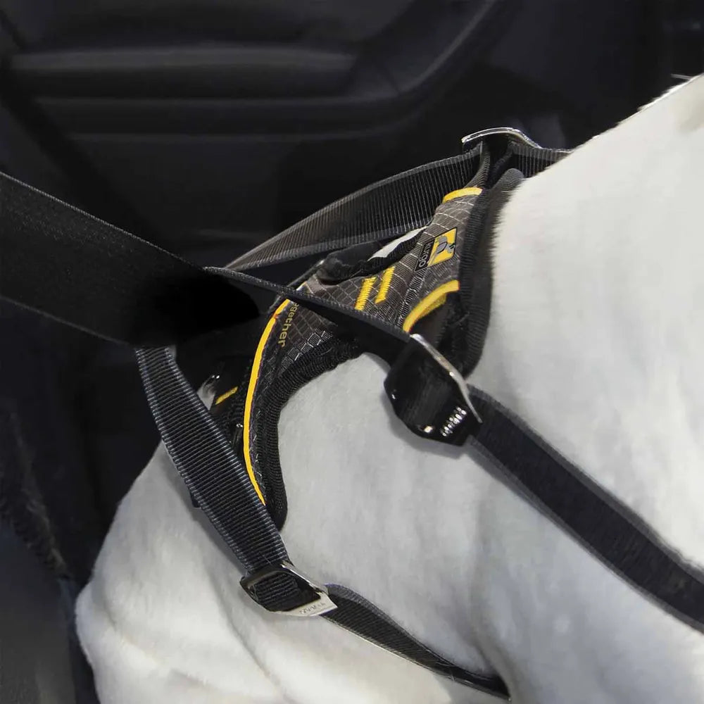Kurgo Impact bilsele til hunde, produktfoto