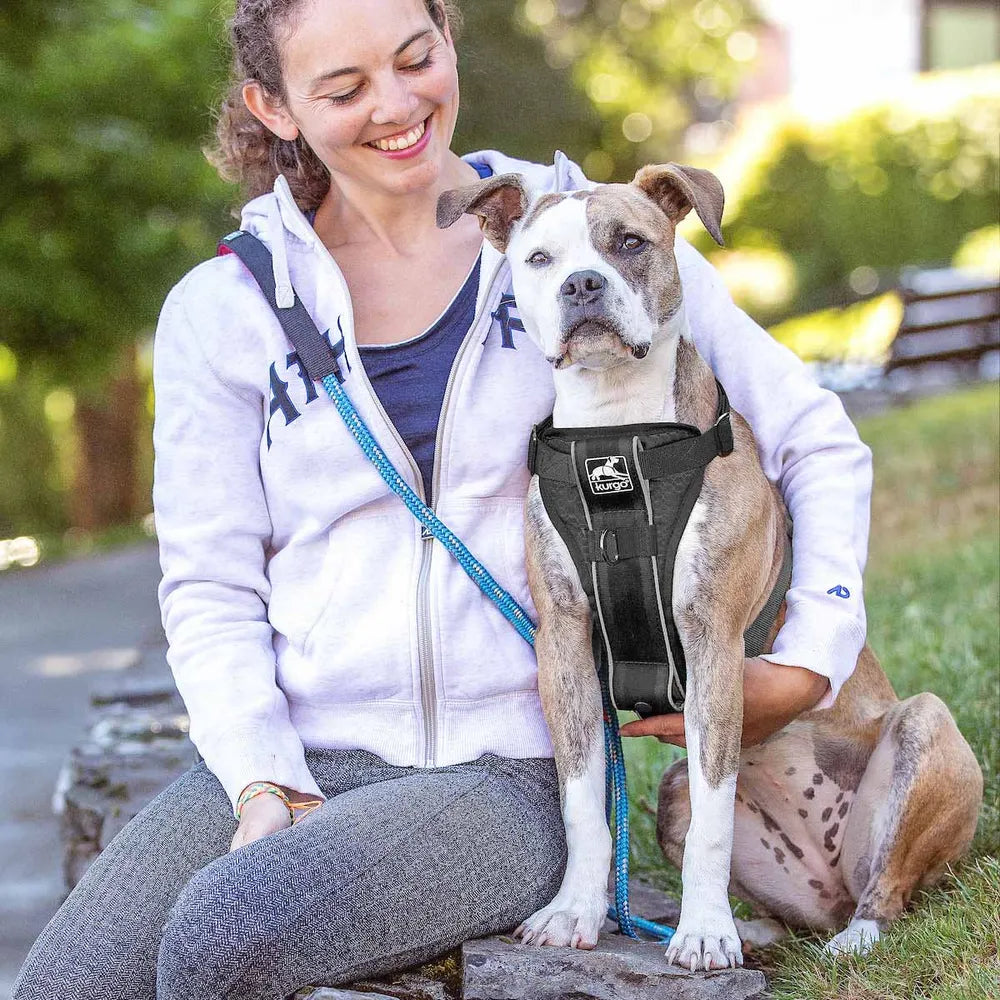 Kurgo Tru-Fit Smart Harness med hurtigspænder, produktfoto
