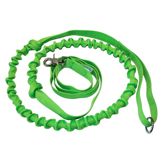 Elastisk trækline til hund, 260 cm lang og 25 mm bred, med hurtigkrog og håndtag