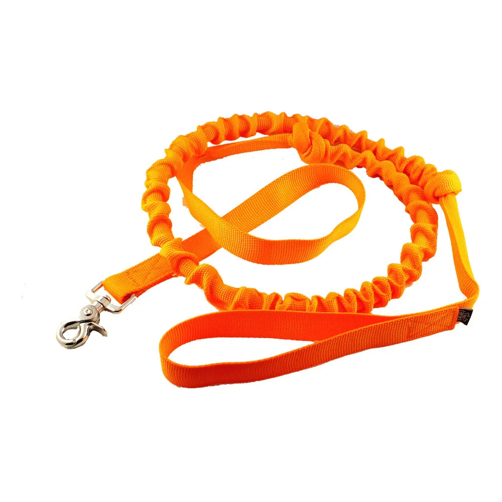 Elastisk trækline til hund, 240 cm lang og 25 mm bred, med hurtigkrog og håndtag
