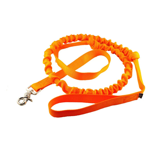 Elastisk trækline til hund, 240 cm lang og 25 mm bred, med hurtigkrog og håndtag