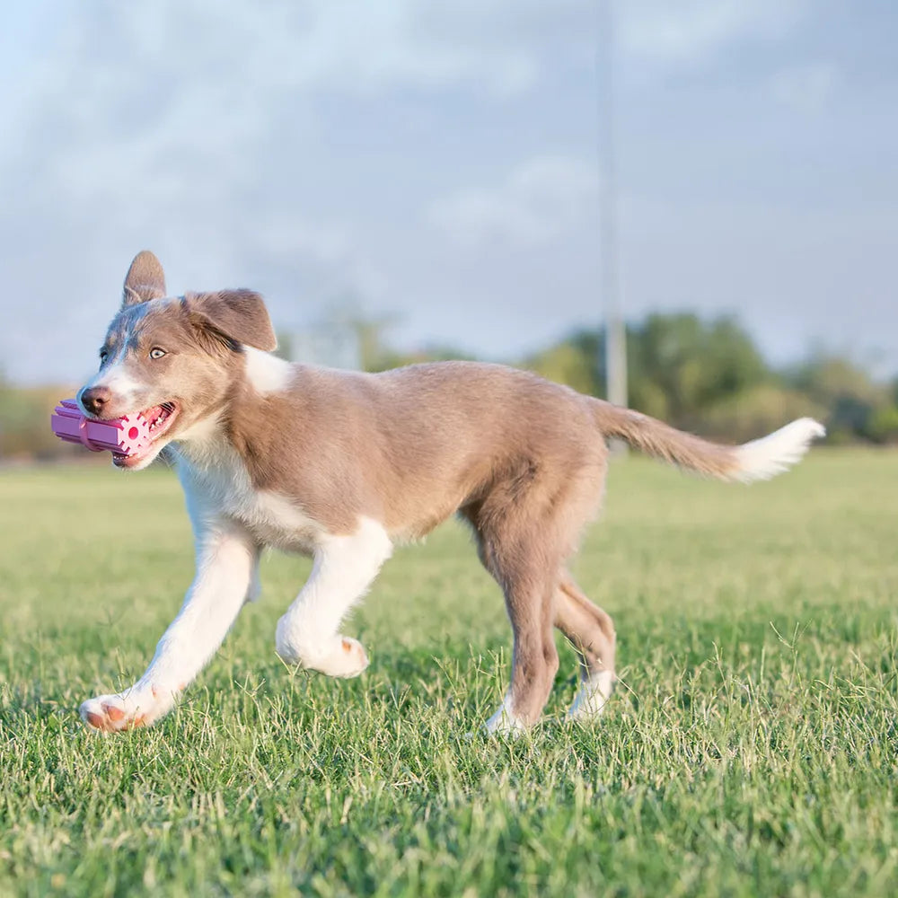 KONG Puppy Teething Stick L, ekstra produktbillede