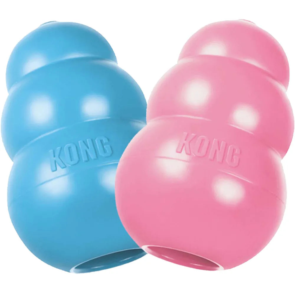 KONG Puppy, set fra en anden vinkel