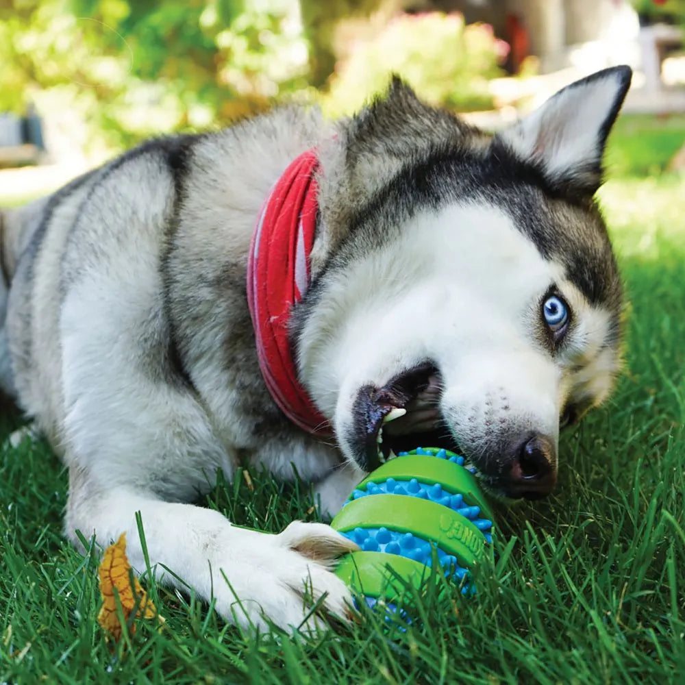 KONG Squeezz Goomz Ball, produktbillede