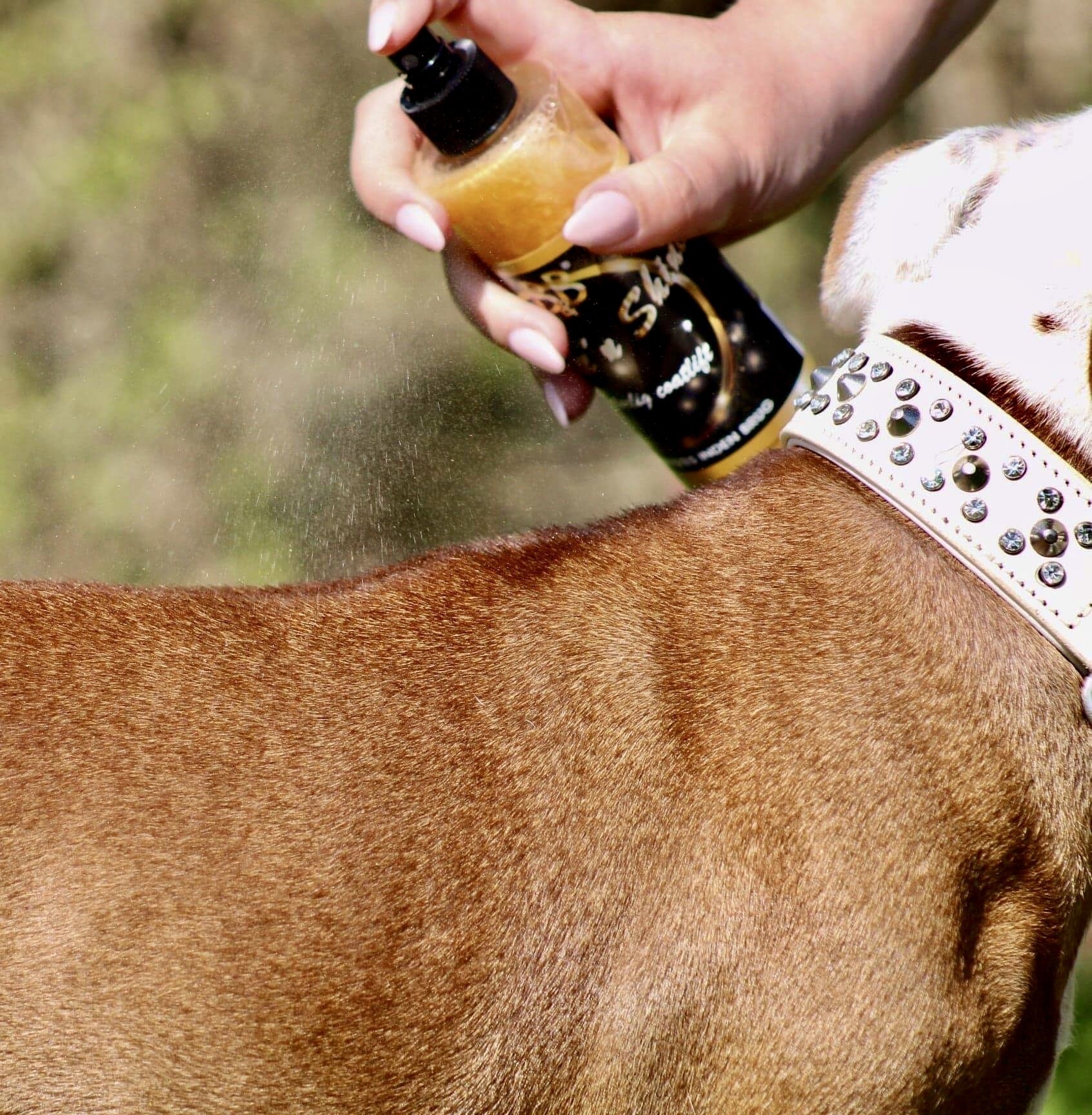 B&B Shake'n Shine pelsspray til hund, produktbillede