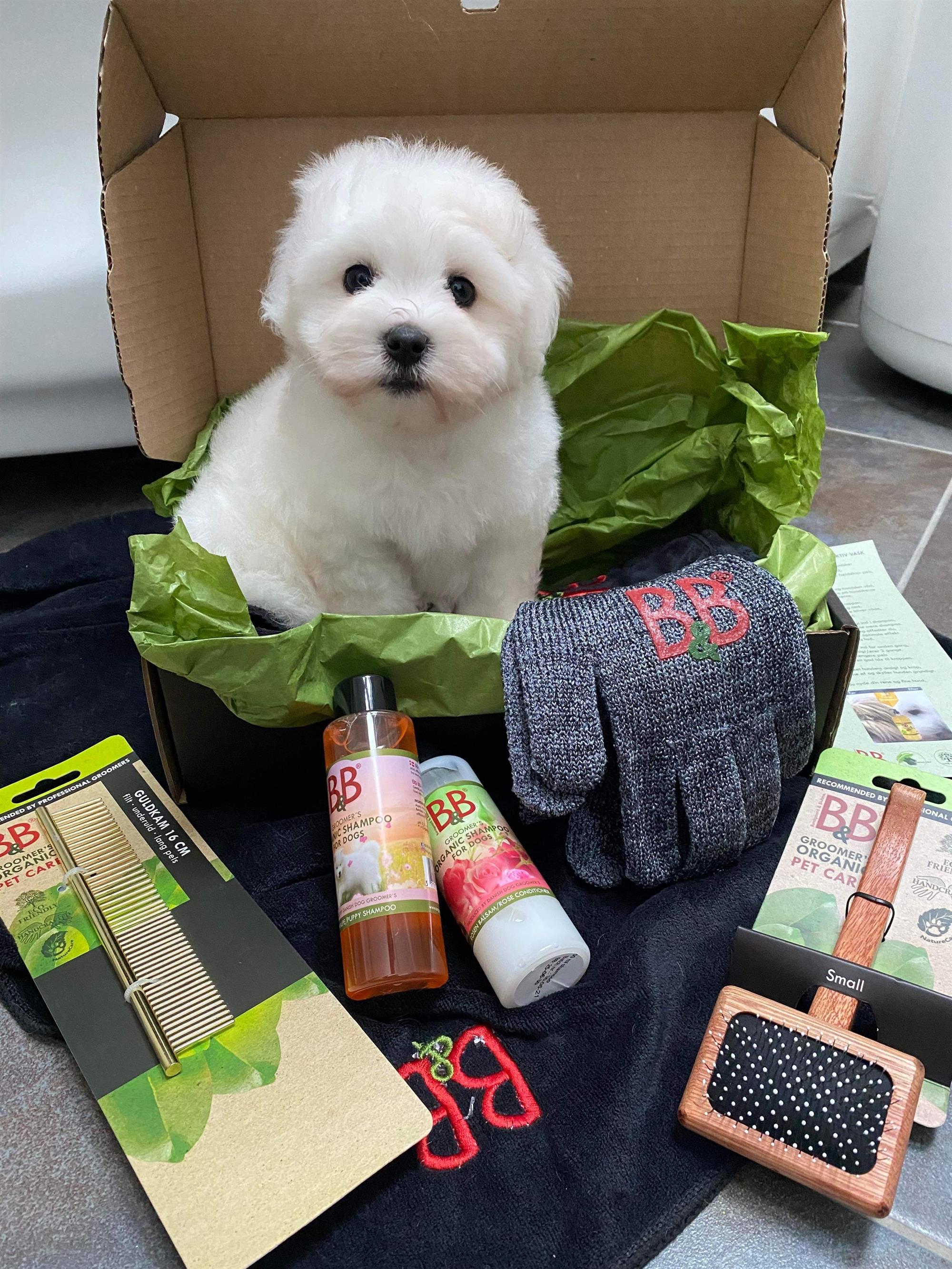B&B hvalpekasse med karte, kam, shampoo og balsam til hvalpe