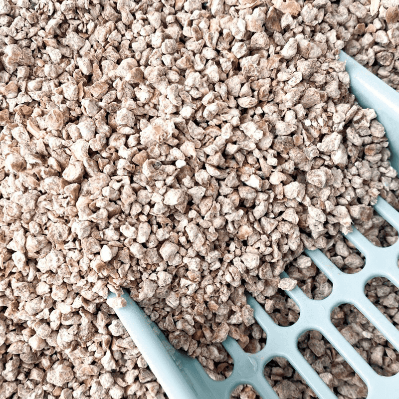 CatCassa Nature kattegrus med jasminduft, 6 kg, produktbillede