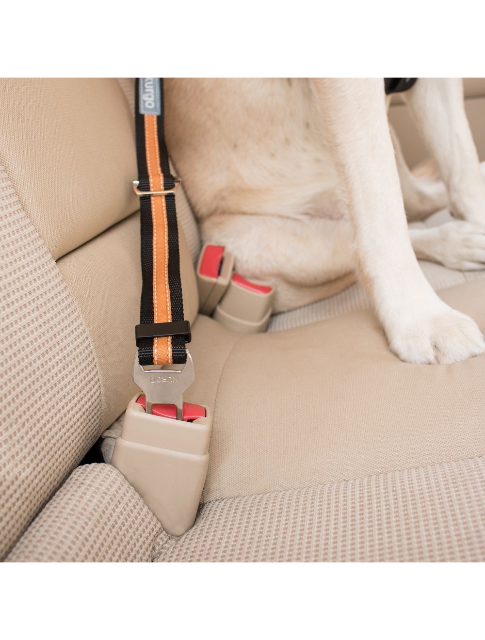 Kurgo Direct to Seatbelt strop med karabinhage, detaljebillede
