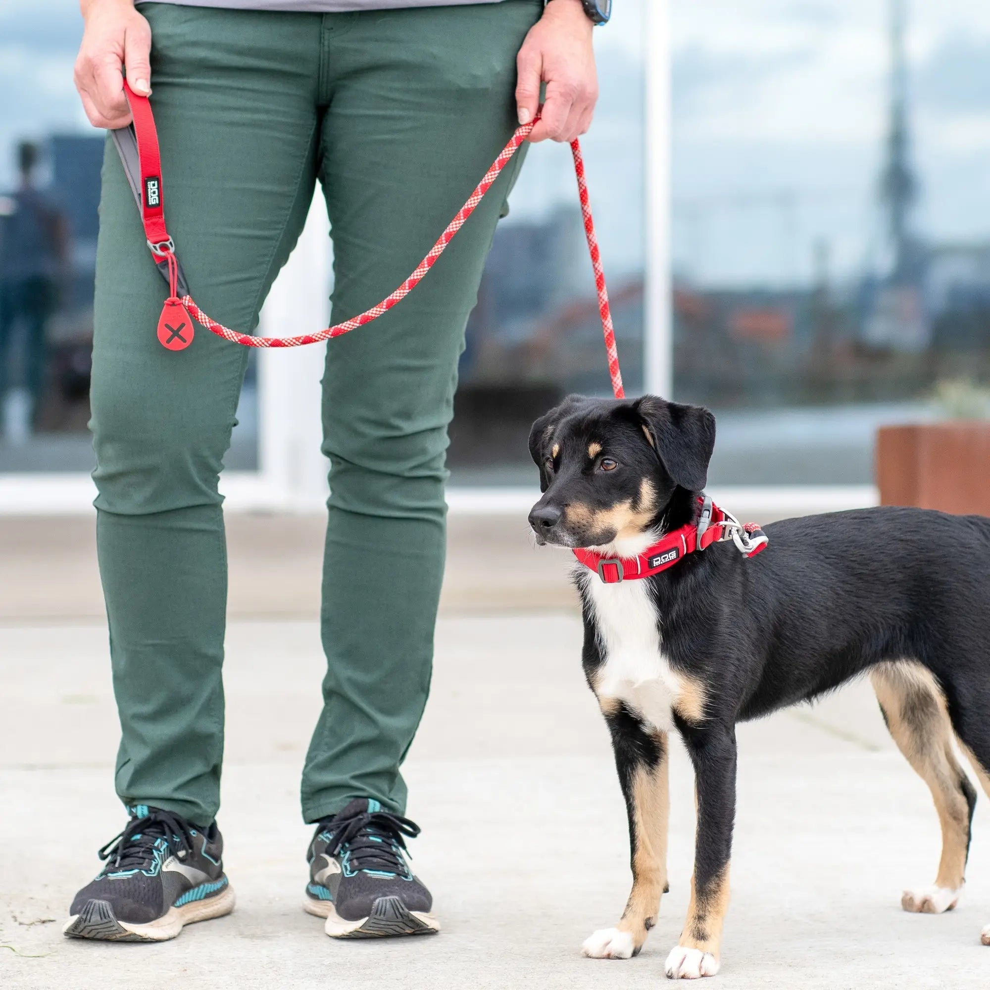 DOG Copenhagen Urban Rope™ line, 160 cm hundeline i polyesterreb, billede 11